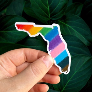 Adesivo Florida Pride / Adesivi a forma di stato LGBTQ con colori della bandiera del progresso / Design arcobaleno e diritti trans per bottiglia d'acqua, laptop +