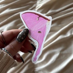 May include: A pink moth sticker with a white border. The moth has detailed wing patterns and a delicate appearance. The sticker is held against a soft, textured background, highlighting its vibrant color and design. The sticker is a decorative item.