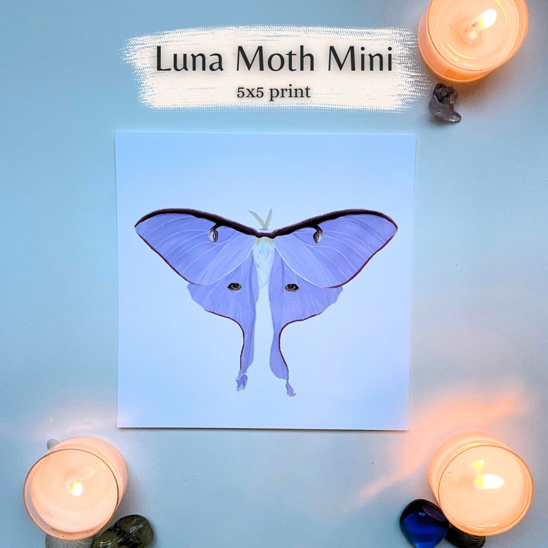 Art Print Minis Assorted 5x5 Mini Art Prints Assorted Art Etsy