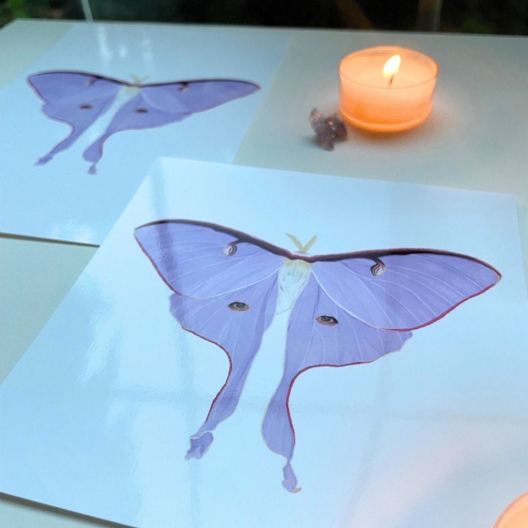Purple Luna Moth Glossy Art Print - Luna Moth Art Print Wall Art Trendy ...
