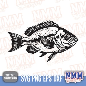 Fish Clipart SVG PNG Bundle - Hand Drawn Digital Fish Illustrations for Cricut, Scrapbooking, and Crafting Designs