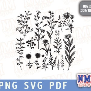 Clipart SVG de flores silvestres / Diseño floral en capas Descarga digital para manualidades y decoración / Arte floral simple