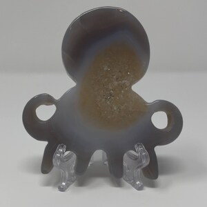 Unique Druzy Agate Octopus