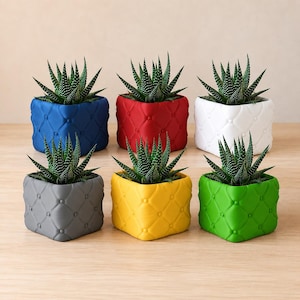 Può includere: Sei vasi quadrati in blu, rosso, bianco, grigio, giallo e verde, caratterizzati da una texture trapuntata con piccoli bottoni in rilievo. Ogni vaso contiene una pianta succulenta verde scuro con foglie appuntite e strisce bianche.