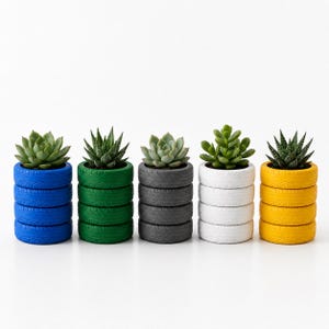 Può includere: Cinque piccole piante succulente sono piantate in contenitori cilindrici a forma di pile di quattro pneumatici in miniatura. I vasi sono dipinti in blu, verde, grigio scuro, bianco e giallo, ognuno contenente una diversa pianta succulenta.