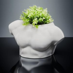Male Torso Vase: Modern Shirtless Planter, 3D Printed Minimalist Home Decor