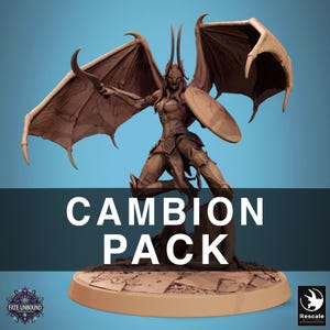 Pack Female Cambion | Rescale | Fate Unbound | Resin | Fantasy | RPG | Tabletop Games | NPC | DnD | 5e | Miniature | Demon | 11 Styles