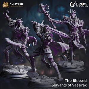 May include: Three purple fantasy figurines of elves in dynamic poses, each holding weapons or a staff. The figures are on rocky bases. The text "The Blessed Servants of Vaezirak" is at the bottom. The logos "DM STASH PRINT.PAINT.PLAY" and "DROW FROM BEYOND" are at the top.