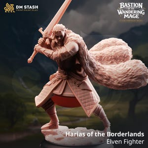 Harias of the Borderlands | DM Stash | Bastion of the Wandering Mage | Miniature | Elf Fighter