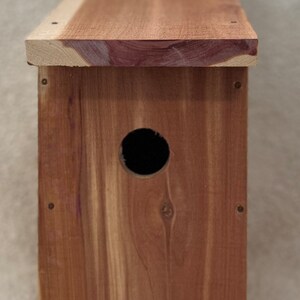 Cedar Bluebird House Kit - Etsy