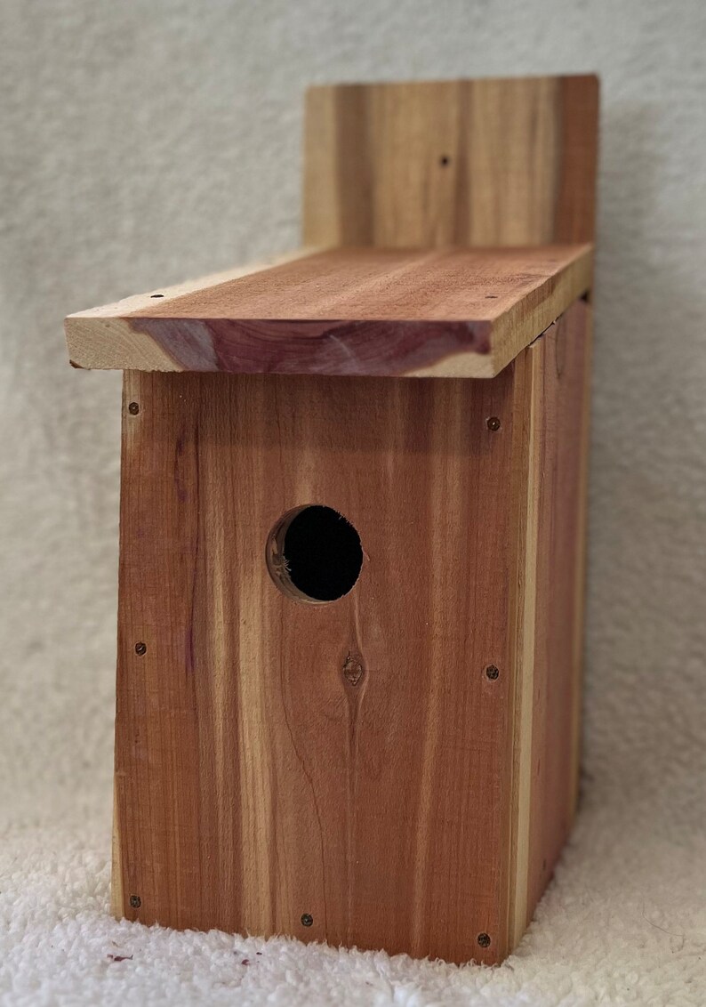 Cedar Bluebird House Kit - Etsy