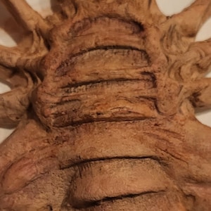 Face Hugger Prosthetic