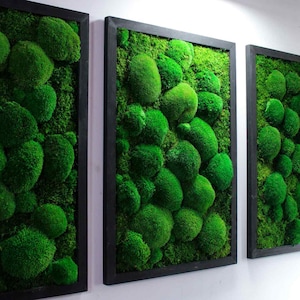 Peut inclure: Trois tableaux muraux encadr&eacute;s pr&eacute;sentant de la mousse verte pr&eacute;serv&eacute;e dispos&eacute;e en forme circulaire. La mousse est un mat&eacute;riau naturel qui apporte une touche de nature &agrave; n'importe quelle pi&egrave;ce.