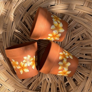May include: Three terracotta flower pots with hand-painted yellow and white plumeria flowers. The pots are arranged on a woven wicker surface.