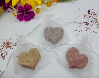 Corazones de semillas, 10 piezas en bolsa de organza - bomba de semillas en forma de corazón - colores surtidos - para recuerdos de fiestas - bodas - bautizos - despedidas