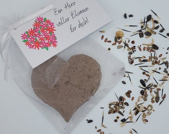 Corazón de semillas - bombas de semillas en forma de corazón - en bolsa de organza con tarjeta - corazón de regalo