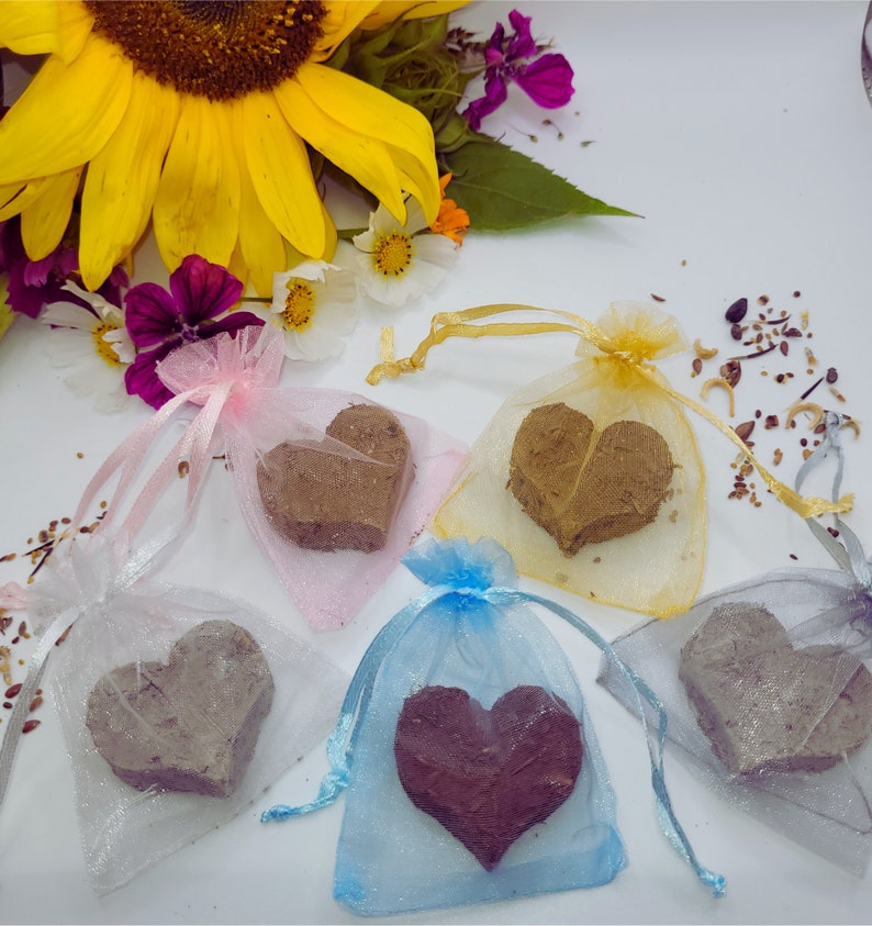 Samenherz 10 Stück im Organzasäckchen Samenbombe in Herzform verschiedene Farben für Gastgeschenke Hochzeit Taufe Abschied Bild 5