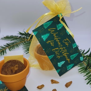 Könnte beinhalten: Ein kleiner Terrakotta-Topf mit einer braunen Saat-Scheibe darin. Der Topf ist in eine goldene Organza-Tasche verpackt, mit einem grünen und goldenen Etikett, auf dem "Ein Weihnachtsbaum für Dich" steht. Auf einer weißen Oberfläche liegen außerdem mehrere braune Samen.