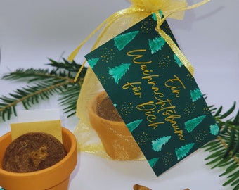 Regala un árbol de Navidad - Kit de cultivo para abeto de Nordmann con maceta de barro - listo para regalar - Regalo de Navidad sostenible