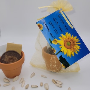 Anzuchtset Sonnenblume Geschenkset