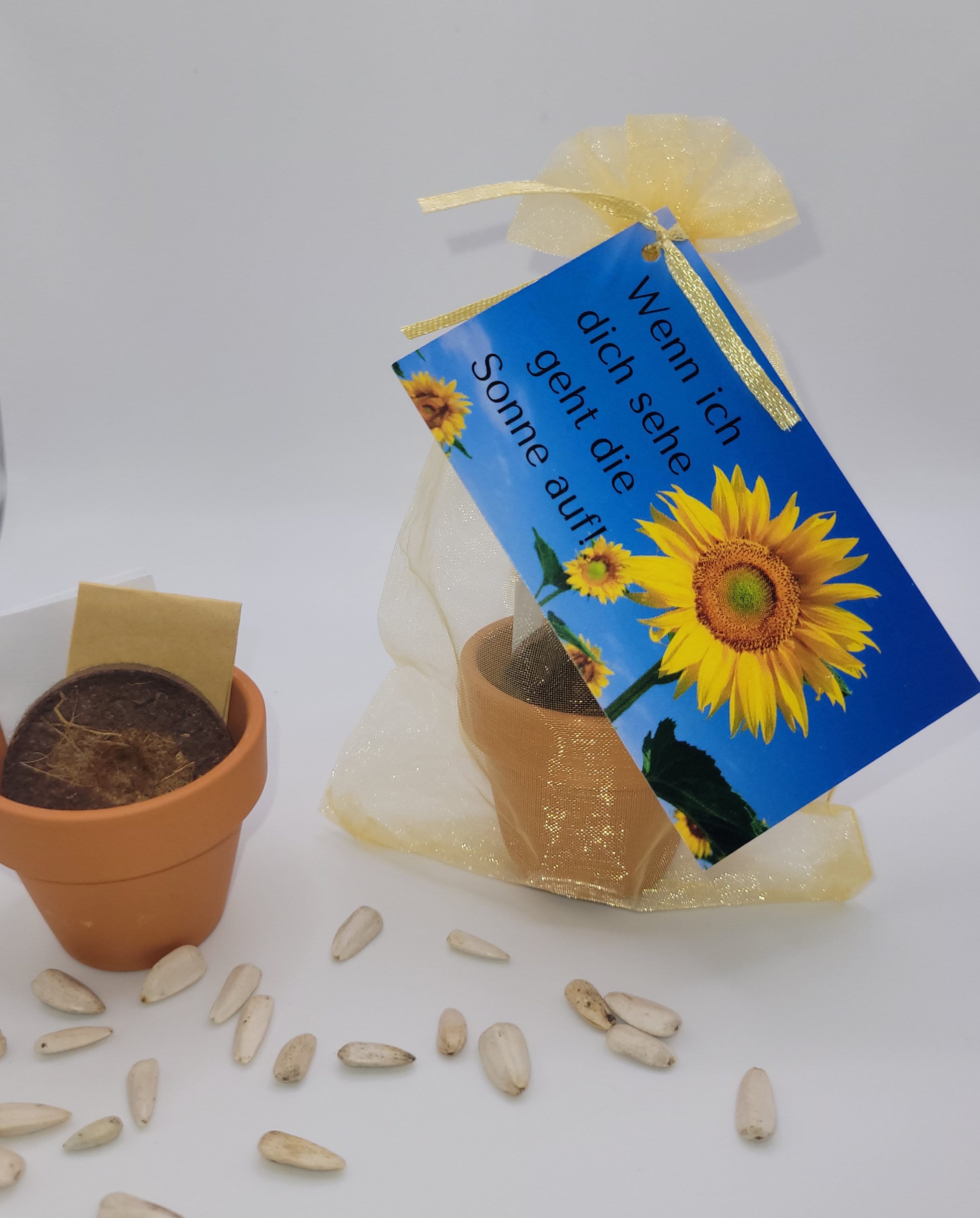 Anzuchtset Sonnenblume Geschenkset