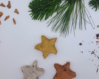 Estrellas de semillas (10 unidades) - Bomba de semillas con forma de estrella - Semillas de abeto de Nordmann - Semillas de flores silvestres - Para Navidad - Regalos de fiesta - Decoración de mesa