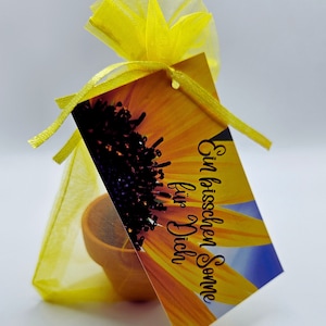 Anzuchtset Sonnenblume - Geschenkset Sonnenblume - ein bisschen Sonne für Dich - Mitbringsel - Sonnenblumen Set