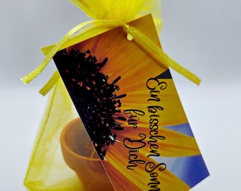 Set de cultivo de girasol - set de regalo de girasol - un poco de sol para ti - souvenir - set de girasol