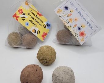 Bombas de semillas - 3 bombas de semillas mezcladas - de regalo - en bolsa de organza con tarjeta
