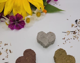 Corazón de Semillas (10 Piezas) - Bomba de Semillas en Forma de Corazón - Colores Surtidos - Para Recuerdos de Fiesta