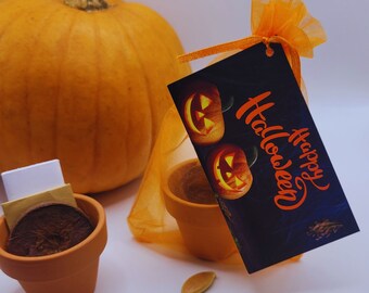 Regalo de Halloween - Kit para cultivar calabazas gigantes - Regalo para invitados a tu fiesta de Halloween - Set de regalo de Halloween