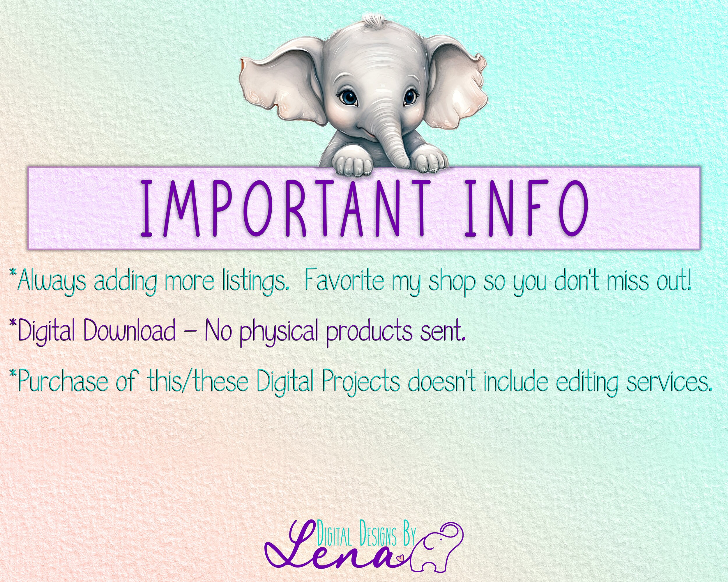 16 Sea Shell Overlays: Digital Overlays for Photo Storytelling ...