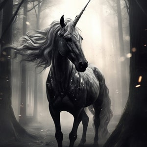 Black and White Unicorn