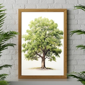 Oak Tree Watercolor Painting Print, Gift for Nature Lover
