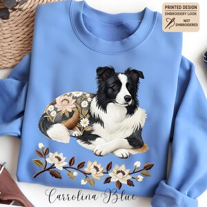Het Grappige Portret Van De Border Collie. Hond In Studio Op Blauwe Achtergrond Gefeliciteerd Met Je Een 205431753