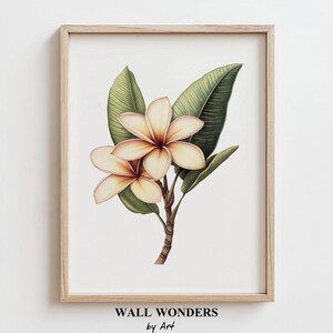 Plumeria | Vintage-Illustration | Wanddekoration | Botanische Wandkunst | Druckbare Wandkunst | Digitaler Download Kunst | Florale Wandkunst