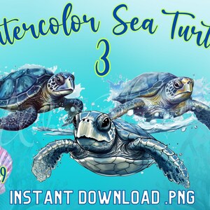 May include: Watercolor painting of three sea turtles swimming in the ocean. The turtles are blue and green with brown shells. The text "Watercolor Sea Turtles 3" is at the top of the image. The text "Just $4.99" is in the lower left corner of the image. The text "INSTANT DOWNLOAD .PNG" is in the lower center of the image.