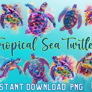 May include: Twelve digital illustrations of colorful tropical sea turtles with watercolor backgrounds. The text "12 Tropical Sea Turtles" is at the top of the image. The text "just $4.99" is at the bottom left of the image. The text "INSTANT DOWNLOAD .PNG" is at the bottom center of the image.