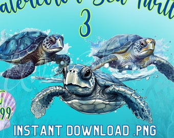 May include: Watercolor painting of three sea turtles swimming in the ocean. The turtles are blue and green with brown shells. The text "Watercolor Sea Turtles 3" is at the top of the image. The text "Just $4.99" is in the lower left corner of the image. The text "INSTANT DOWNLOAD .PNG" is in the lower center of the image.