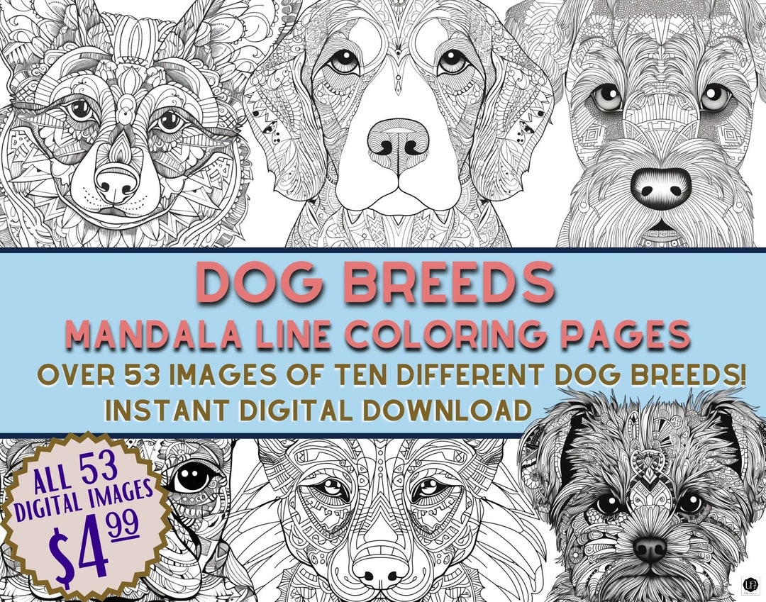 Dog Breeds Animal Coloring Pages Instant Download Printable - Etsy