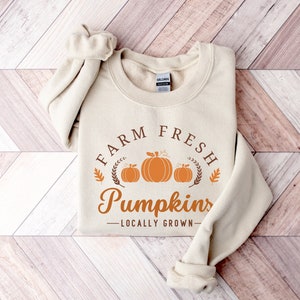 May include: A beige sweatshirt with the words "FARM FRESH Pumpkins LOCALLY GROWN" in brown lettering. The design includes three orange pumpkins and fall foliage. The sweatshirt is folded on a wooden surface.
