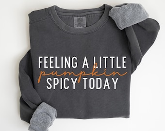 May include: Dark gray sweatshirt with the text "FEELING A LITTLE PUMPKIN SPICY TODAY" in white and orange lettering. The sweatshirt has a fleece lining and a crew neck. The sleeves are cuffed, and the garment is folded.