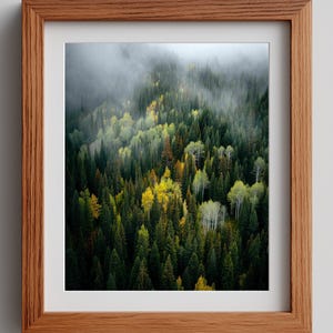 Puede incluir: Una impresión enmarcada de una escena forestal. La imagen presenta un bosque denso con una variedad de árboles en tonos verdes, amarillos y blancos. La parte superior del bosque está velada por la niebla. El marco es de madera.