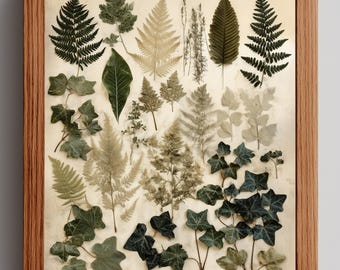 May include: A framed botanical print displaying a collection of pressed leaves and ferns in various shades of green and beige. The leaves are arranged on a light background and enclosed in a wooden frame.
