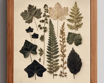 Vintage Herbarium Botanical Printable - Rustic Cottagecore Natural History Art, Charming Neutral Wall Decor, Digital Download 10