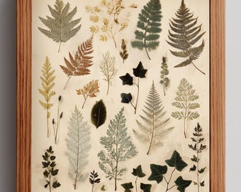 May include: A framed botanical print showcasing an assortment of pressed leaves in diverse shapes and hues, such as green, brown, and yellow. The leaves are displayed on a cream backdrop, enclosed within a wooden frame.