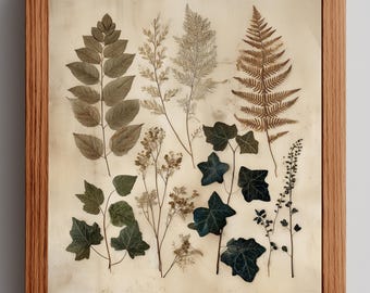 May include: A framed botanical print displaying various pressed leaves and ferns in green, brown, and beige hues. The leaves are arranged on a cream background and enclosed within a wooden frame.