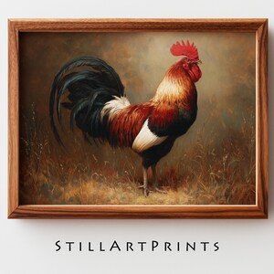 May include: A framed print of a rooster in a field. The rooster has red, orange, white, and black feathers. The print is in a brown wooden frame. The text "STILLARTPRINTS" is at the bottom of the image.