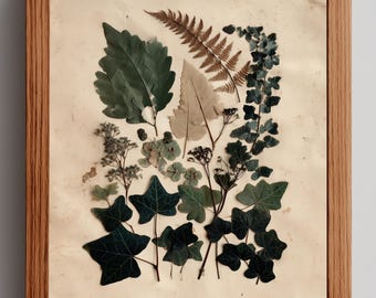 Arte mural botánico vintage imprimible: estilo herbario rústico, especímenes de plantas prensadas, decoración cottagecore, descarga digital antigua 12