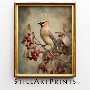 May include: A framed print featuring a detailed illustration of a bird perched on a branch with red berries. The bird has tan, gray, and yellow feathers. The print is in a gold frame, and the text "STILLARTPRINTS" is at the bottom.